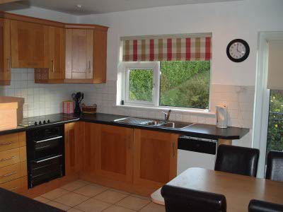 Kitchen pic 1